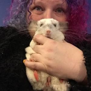 Meet your Posher, Amy